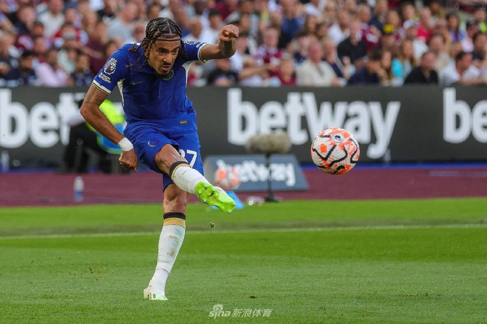 期会感受到 期会感受到